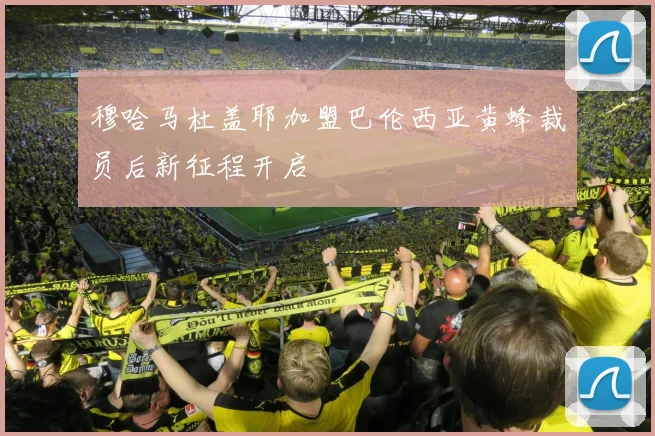 穆哈马杜盖耶加盟巴伦西亚黄蜂裁员后新征程开启